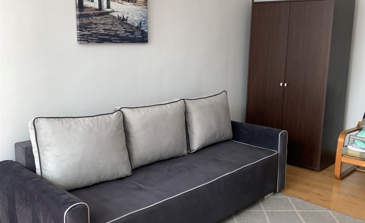 mieszkanie na wynajem - Łódź, Śródmieście, Deptak, Piotrkowska